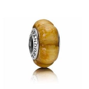 Pandora *Retired* Wooden Bead Charm